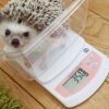 うに丸の体重　その後の経過